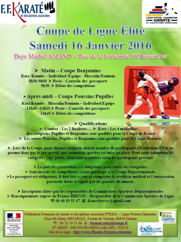 Coupe de ligue 2016